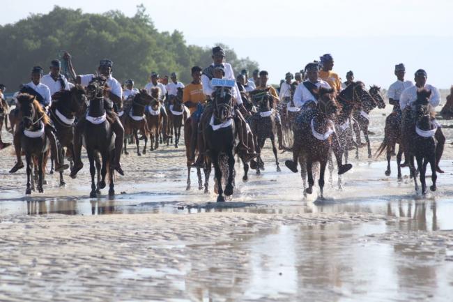 Keren, Ribuan Kuda Sandel Penuhi Pantai Walakiri